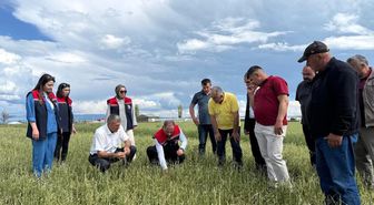 Dolu vurdu, ekipler sahaya indi: Kars'ta hasar tespit çalışmaları sürüyor