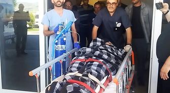 Hayvanlarını otlatırken ayı saldırısına uğradı, Kangallar imdadına yetişti