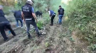 Hevsel Bahçeleri'nde 12 bin 174 kök kenevir ele geçirildi