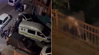 İstanbul'un göbeğinde demir korkuluklara kabloyla asılı ceset bulundu
