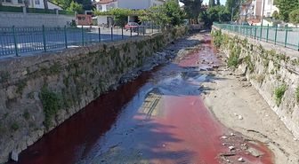 Samsun'da dereyi zirai ilaç ile kirleten işletmeye suç duyurusu