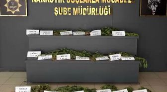 UNESCO Dünya Mirası Listesi'ndeki Hevsel Bahçeleri'nde uyuşturucu ele geçirildi