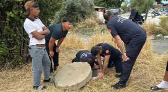 Büyükçekmece'de rögara düşen yavru köpek itfaiyenin çalışmasıyla kurtarıldı