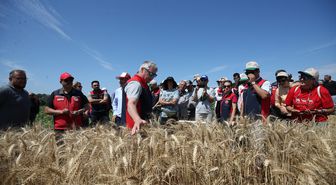Çanakkale'de yerli 13 buğday ve 9 arpa çeşidi üreticiye tanıtıldı