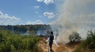 Diyarbakır'da ağaçlık alanda çıkan yangın söndürüldü