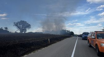 Edirne'de anızda çıkıp ağaçlık alana sıçrayan yangına müdahale ediliyor