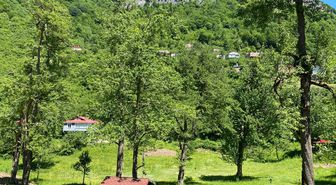 Giresun'dan kısa kısa
