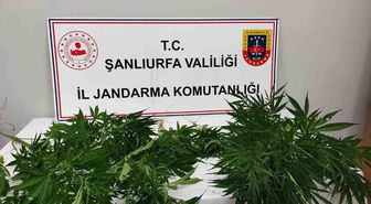 Hilvan'da uyuşturucu ele geçirildi