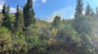 Marmaris'te yıldırım kaynaklı orman yangını
