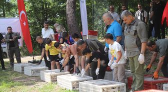 Ordu'da kahverengi kokarcayla biyolojik mücadele için doğaya 1600 sülün bırakıldı