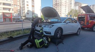 Park halindeki otomobilden yılan sarkıttığı ihbarı endişe yarattı