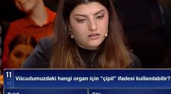 Vücudumuzdaki hangi organ için “çipil' ifadesi kullanılabilir?