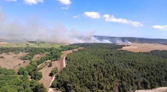 Çanakkale'de tarım arazisinde başlayan yangın ormana sıçradı