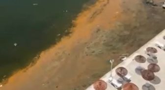 Marmara Denizi'nde alg patlaması müsilaj habercisi mi?
