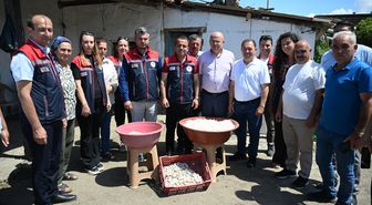 Edirne'de ipekböceği yetiştiren kadın üreticiler yaş kozaları topladı
