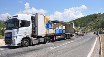 Mersin'de dorsesi kırılan tırdaki balık atıkları yola saçıldı