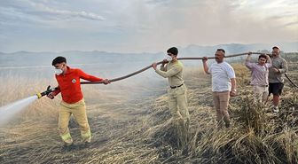 Sakarya'da çıkan yangında 150 dönüm mera zarar gördü