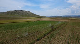 Eskişehir'de 405 bin dekar tarım arazisine sulama