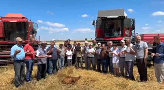 Edirne'de buğday hasadı dualarla başladı