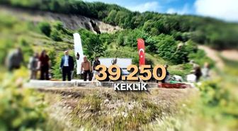 Kene ve kahverengi kokarcaya karşı doğal mücadele: 51 bin keklik ve sülün salınacak