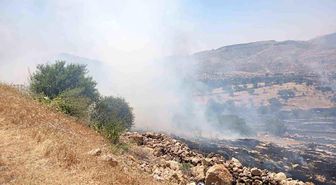 Mardin'de ormanlık alanda çıkan yangına müdahale ediliyor