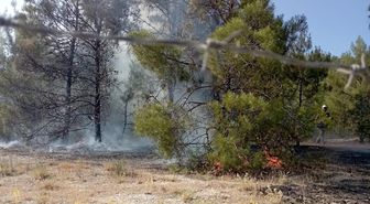Şanlıurfa'da orman yangını