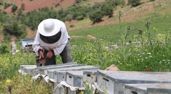 Devlet desteğiyle aldıkları çekme karavanla yayla yayla gezerek bal üretiyorlar