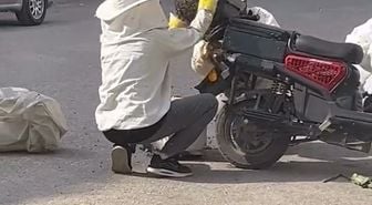 Motosiklette toplanan arıları, özel kıyafetiyle kovana topladı