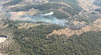 Muğla'da ziraat alanında çıkan yangın kontrol altına alındı