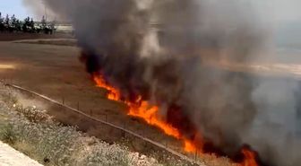 Şanlıurfa'da arpa ekili arazide çıkan yangında 30 dönüm alan zarar gördü