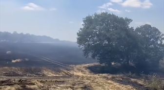 Tekirdağ'da 200 dekar buğday ekili alan yandı