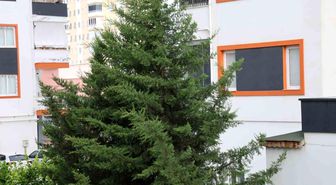 Adana'nın kuzey ilçelerinde kuvvetli rüzgar etkili oldu