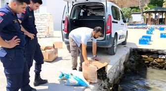 Aydın'da 60 kilo canlı yengeç ele geçirildi