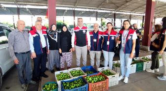 Aydın inciri için denetimler sürüyor