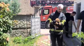 Batman'da fabrika duvarına sıkışan köpek kurtarıldı, işçiler hayvanı sahiplendi