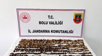 Bolu'da yabani salep toplayan 3 kişiye rekor ceza: 2 milyon 97 bin TL