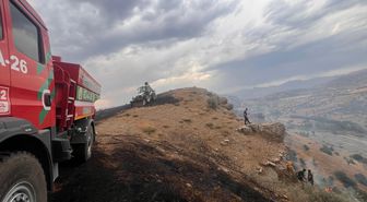 Diyarbakır'da çıkan anız ve orman yangınları söndürüldü
