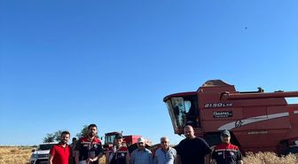 İpsala'da hasat başladı, mezuniyet coşkusu yaşandı