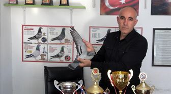 Ermenistan sınırından bırakılan güvercin bin kilometre yolu bir günde katederek evine döndü