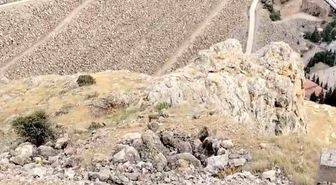 Keban'da dağ keçileri sürü halinde görüldü