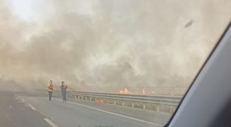 Mardin'de anız yangını, yerleşim yerine de sıçradı