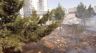 Mardin'de farklı noktalarda çıkan yangınlara müdahale sürüyor