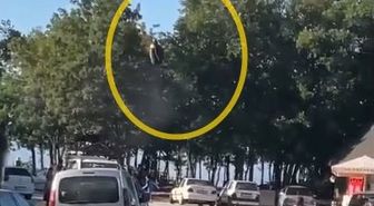 Paraşütçünün ağaca kontrollü inişi, çevredekileri endişelendirdi
