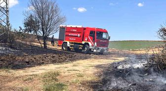 Tekirdağ'da 25 dönüm buğday ekili alan yandı