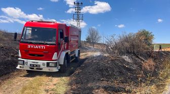 Tekirdağ'da 65 dekar tarım arazisi yangında zarar gördü