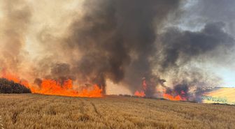 Tekirdağ'da buğday ekili tarlalarda çıkan yangına müdahale ediliyor