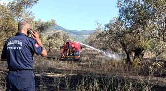 Balıkesir Ziraat Odası Başkanı Demirbay: 'Bir yıllık emek bir sigara izmaritiyle kül olmasın'