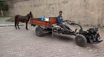 Çok sevdiği katırını peşinden hiç ayırmıyor
