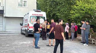 Dut toplarken ağaçtan düşüp yaralandı