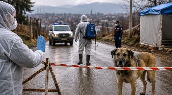 Van'ın Edremit ilçesinde kuduz alarmı: 7 mahalle karantinaya alındı